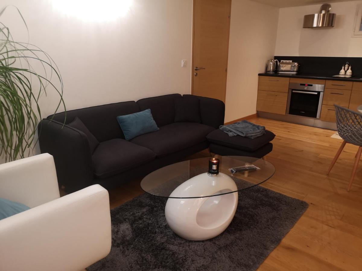 Tres Bel Avec Vue Sur Les Montagnes Apartment
